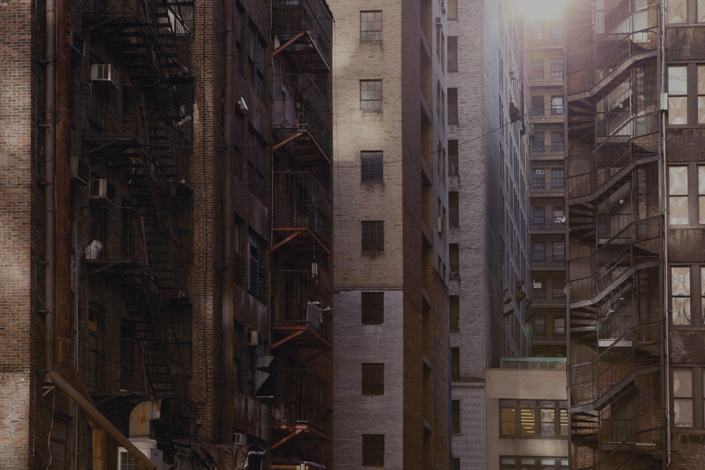 Concrete Jungle